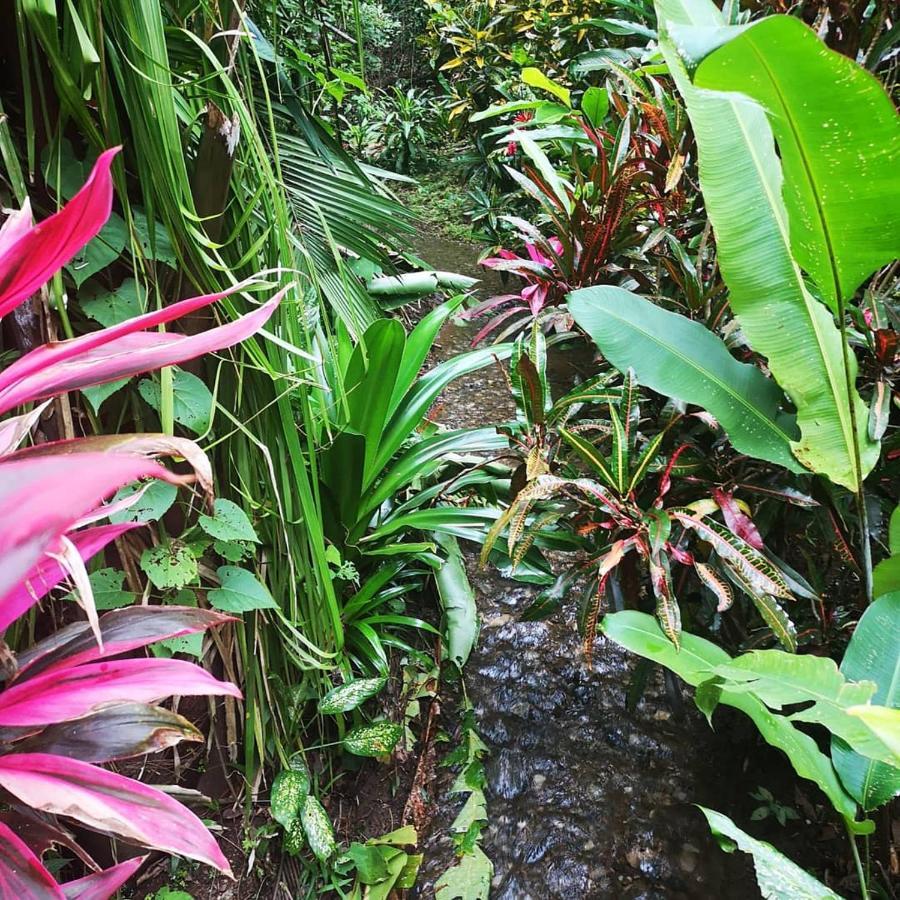 Hotel Belvedere Playa Samara Costa Rica Kültér fotó