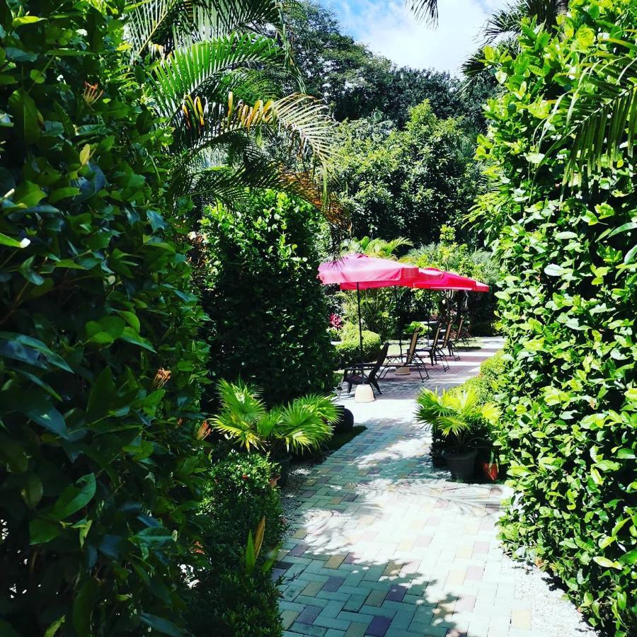 Hotel Belvedere Playa Samara Costa Rica Kültér fotó