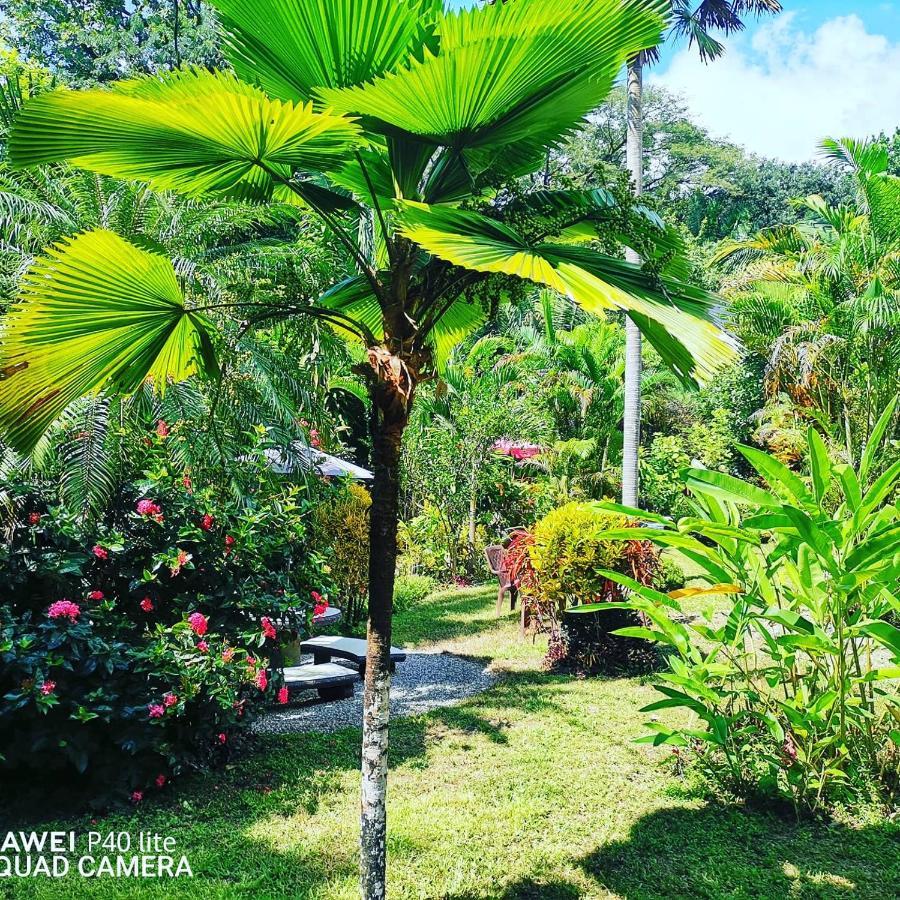 Hotel Belvedere Playa Samara Costa Rica Kültér fotó