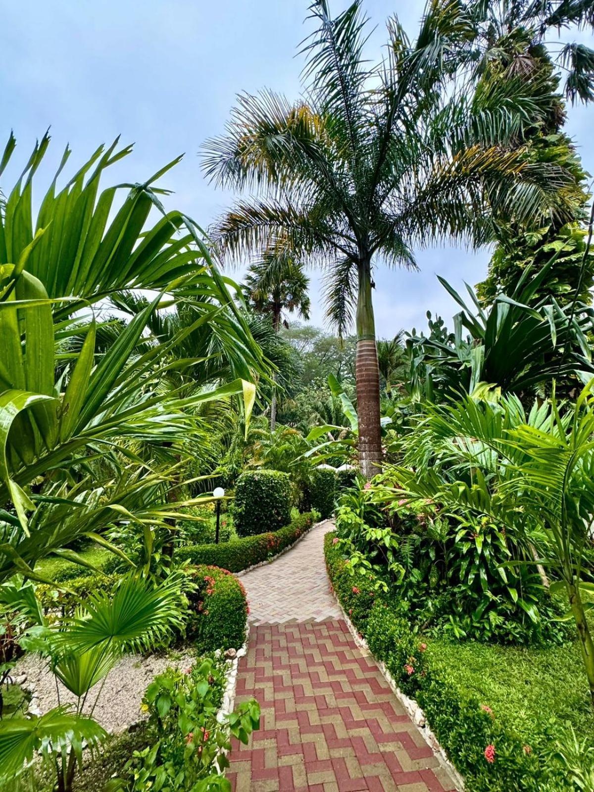 Hotel Belvedere Playa Samara Costa Rica Kültér fotó